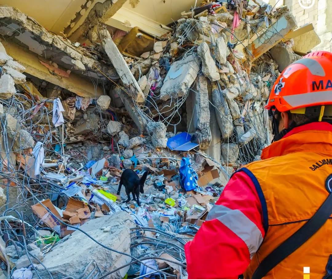 USAR — imagem 1